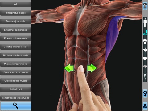 Anatomy 3D for iPad screenshot 2