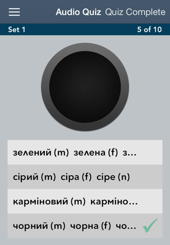 Ukrainian Essentials - náhled