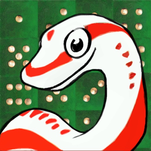 Snake Me! - Snakes & Ladders for iPad iOS App