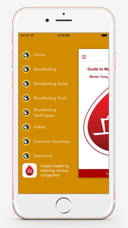 The Medical Guide to Bloodletting