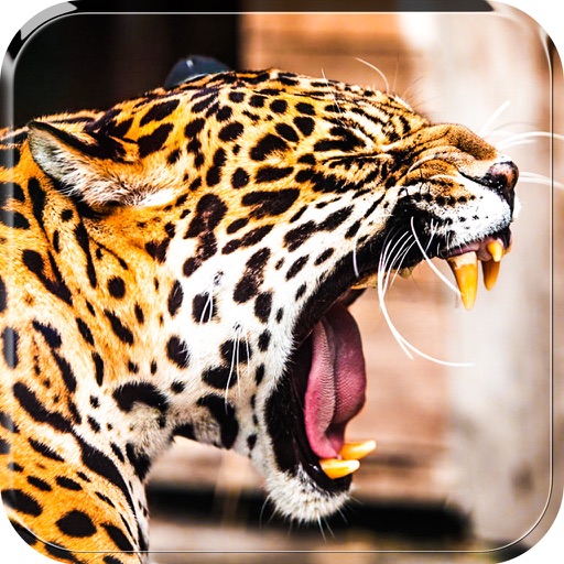 2016 Leopard Survival Attack Pro - African Beast Hunting Wild Attack Simulation
