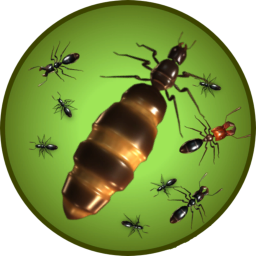Ant Queen App Support