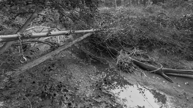 Wardwell House screenshot-3