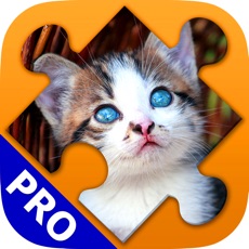 Activities of Cats Jigsaw Puzzles. Premium