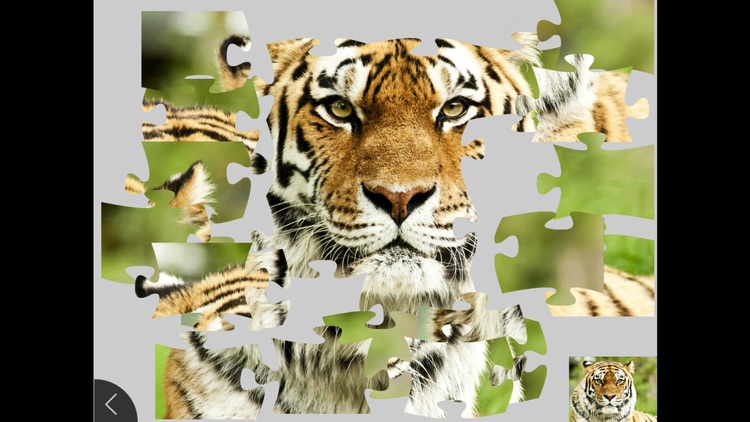 Animals - Jigsaw and Sliding Puzzles