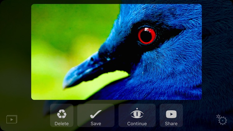 Dideye Pro - 4k video clips camera screenshot-3