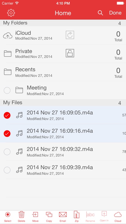 Recorder Pro: Professional Voice Recorder screenshot-3