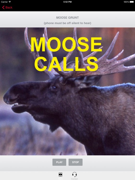 Moose Calls - Moose Call for Moose Hunting