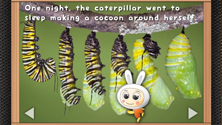 Pepa and the Butterfly - Read & Learn Storybook