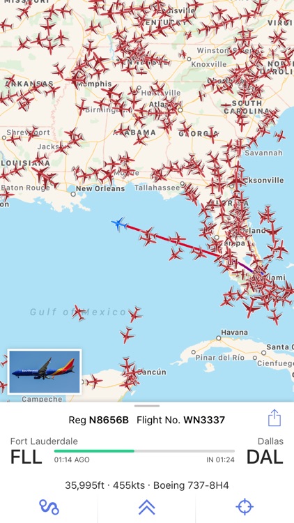 Plane Finder - Flight Tracker