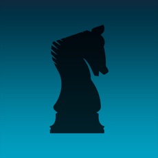 Activities of Knight - Chess Puzzle