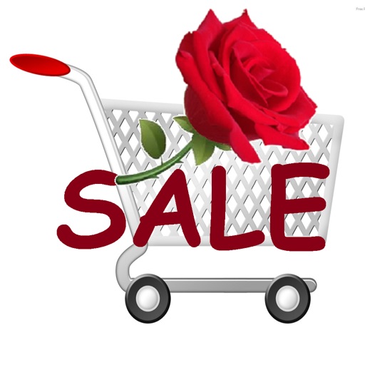 Sales Tax and Discount Calculator shopping n save