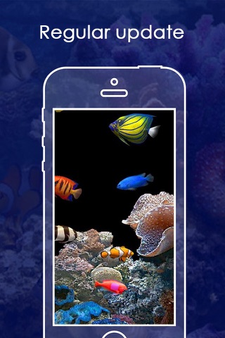 Live Aquarium HD Wallpapers | Backgrounds screenshot 4