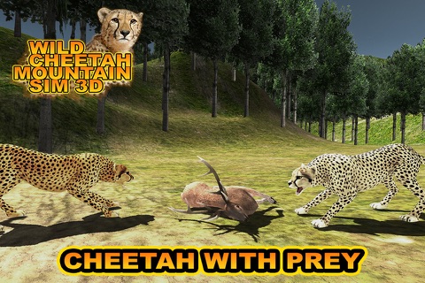 African Cheetah Safari Mountain Simulator screenshot 3