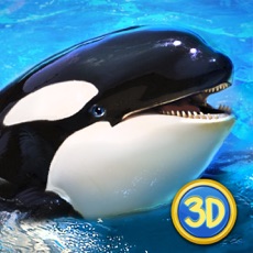 Activities of Ocean Whale Orca Simulator: Animal Quest 3D Full