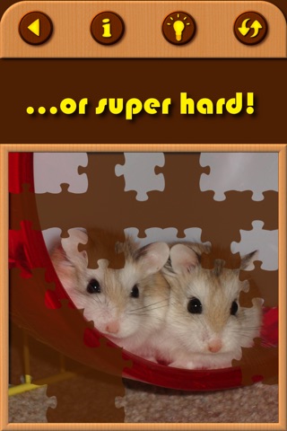 Hamster Jigsaw Puzzle Games screenshot 4