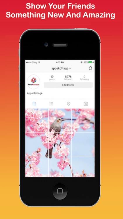 Smart Instagird for Instagram -Insta Collage Style