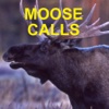 Moose Calls - Moose Call for Moose Hunting