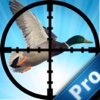 Amazon Duck Pro