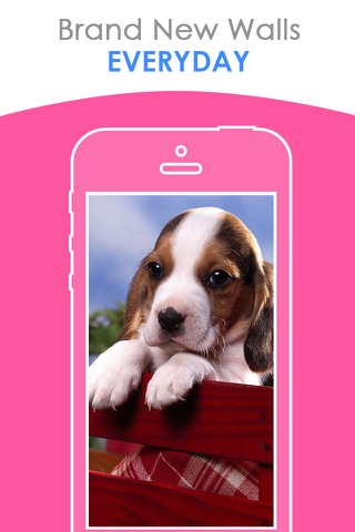 Cute Puppy Wallpapers | HD Backgrounds screenshot 4