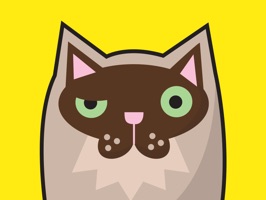 Come on meow