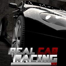 Activities of Real Car Racer