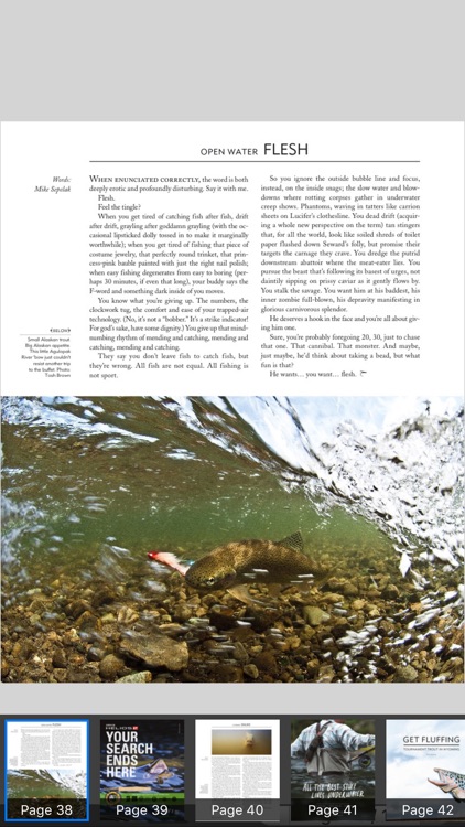 The Flyfish Journal