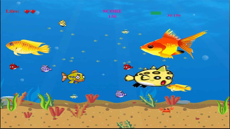 frenzy fish game free