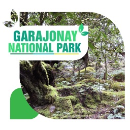 Garajonay National Park Travel Guide