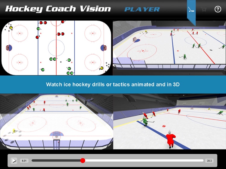 Hockey Coach Vision - Player
