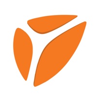 卫士通 pour PC