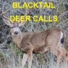 Blacktail Deer Calls Sounds