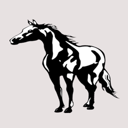 Horse Part Two - TKS Sticker