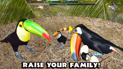 How to cancel & delete Ultimate Bird Simulator from iphone & ipad 4