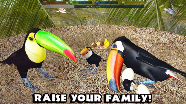 Ultimate Bird Simulator(圖4)-速報App