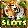 Wild Animal Slots – Big win deluxe casino