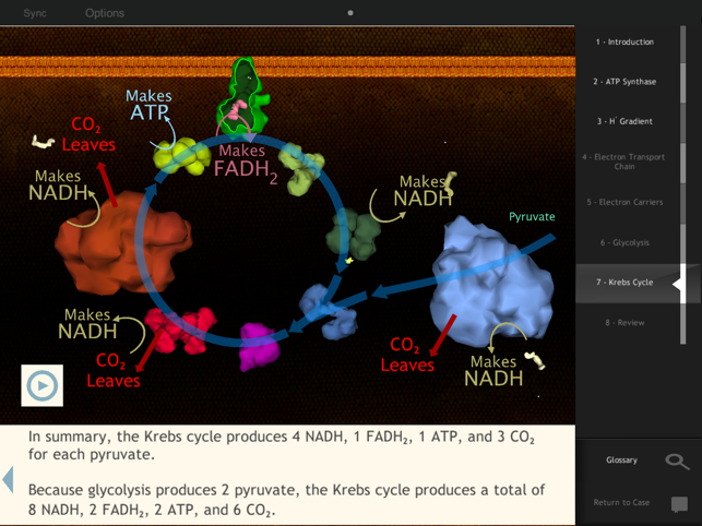 IC Cellular Respiration(圖5)-速報App