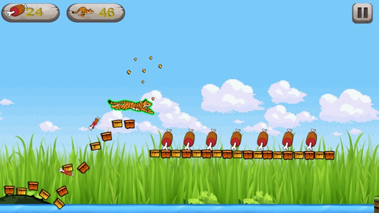 Baby Tiger Run - Adventure eat meat to thrive screenshot-4