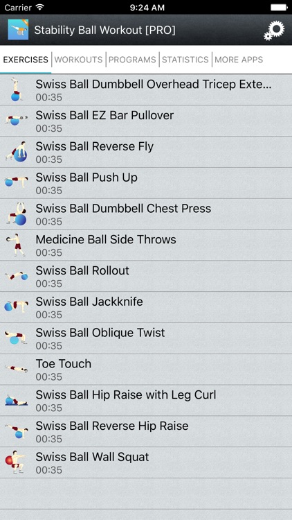 Exercise Ball Workouts & Stability Weighted Plans