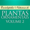 Plantas Ornamentais - Volume 2