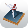 Taekwondo Bible - Poomsae and Terminology - Alex Wibowo