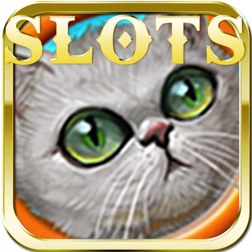 Cool Cat Slot, Great Casino, Great Coins, Big Win icon