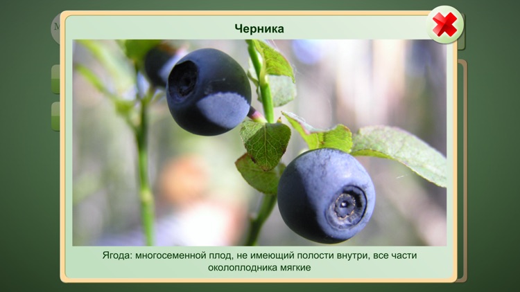 Biology Plant handbook screenshot-3