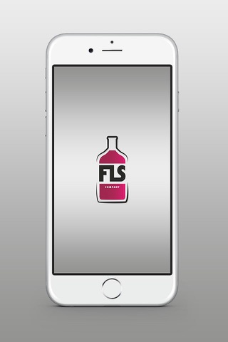 FLS Company screenshot 2