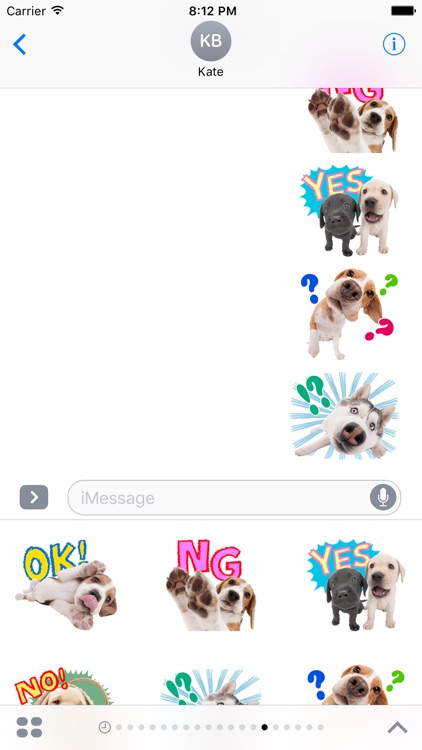 Sweety Dog Lover