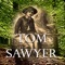Las aventuras de Tom Sawyer es el relato de unos meses en la vida de este niño que vive en una ciudad pequeña del suroeste de Estados Unidos a orillas del río  Misisipi
