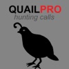 Icon REAL Quail Sounds and Quail Hunting Calls