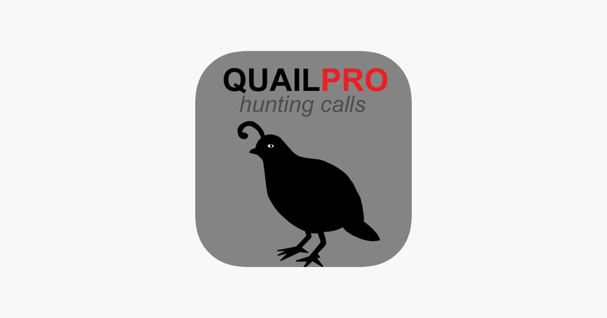 real-quail-sounds-and-quail-hunting-calls-on-the-app-store