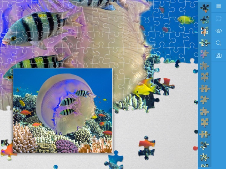Jigsaw Puzzles Underwater