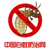 中国白蚁防治网